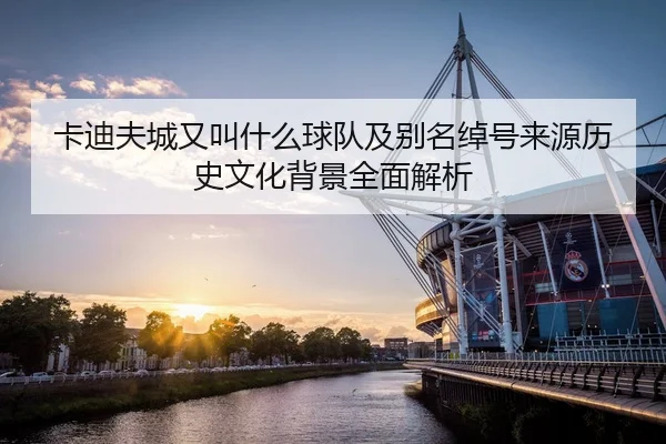 卡迪夫城又叫什么球队及别名绰号来源历史文化背景全面解析