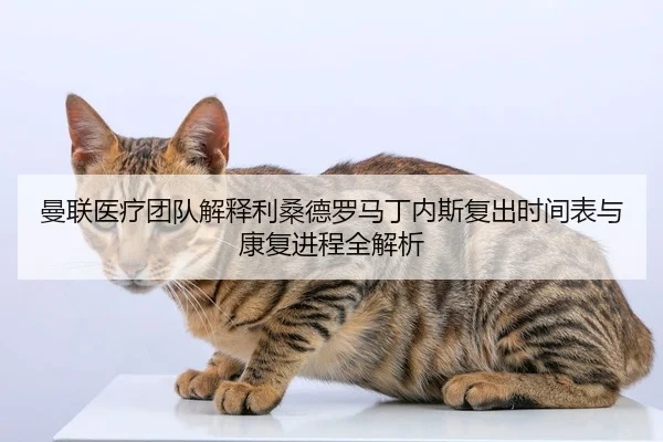 曼联医疗团队解释利桑德罗马丁内斯复出时间表与康复进程全解析